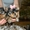   Красивые щенки Йоркширского терьера - Изображение #1, Объявление #1595368