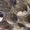 Трубы БУ со склада диаметр от 73 до 1420, Балка БУ, Швеллер БУ. - Изображение #6, Объявление #1603527