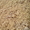 Песок сеяный карьерный #1606430