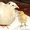 Куры перепелки индейки утки инкубационное яйцо навоз - Изображение #2, Объявление #1621296
