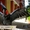 Пальмовый какаду (Probosciger aterrimus) - ручные птенцы из питомника #644540