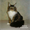 Продажа котят породы мейн-кун - Изображение #4, Объявление #1574052