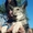 Щенки собаки Сарлоса (Saarloos Wolfdogs) - Изображение #1, Объявление #1634595