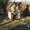 Колодец в Можайске, Можайском районе, Минское ш. - Изображение #2, Объявление #1637910