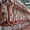 Мясо говядины, Куриное, в ассортименте, доставка от 2 до 19 т., оптом. - Изображение #2, Объявление #1652523