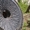 Торцевые бронеплиты, лобовые плиты, решетки, облицовки, запасные части мельниц - Изображение #5, Объявление #1674346