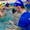  Бесплатное занятие в сети детских школ плавания Океаника - Изображение #3, Объявление #1676209