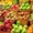 "БФ Компани" Торговля оптовая фруктами и овощами - Изображение #1, Объявление #1703865