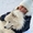 Стрижка собак и кошек всех пород Москва Измайлово - Изображение #3, Объявление #1716844
