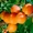 Саженцы яблони и других плодовых деревьев из питомника растений - Изображение #2, Объявление #1723330