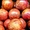 Саженцы абрикосов из питомника с доставкой, каталог с низкими ценами в интернет  - Изображение #7, Объявление #1724670