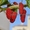  Саженцы шелковицы, шелковица в горшках и в землянном коме с плодами  - Изображение #7, Объявление #1726614