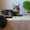 Известный питомник Bartalameo предлагает котят Мейн Кун (с видео) #486743