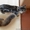 Известный питомник Bartalameo предлагает котят Мейн Кун (с видео) - Изображение #4, Объявление #486743