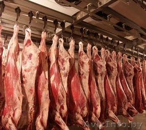 Куплю говядину в больших объемах - Изображение #1, Объявление #1038130