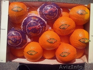 Апельсины, мандарины, лимон, хурма оптом в Испании - Изображение #1, Объявление #1509296