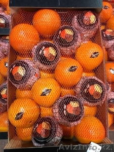 Апельсины, мандарины, лимон, хурма оптом в Испании - Изображение #2, Объявление #1509296