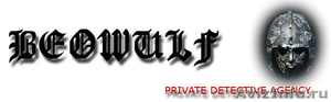 BEOWULF Частный детектив, частное детективное агентство  - Изображение #1, Объявление #32380