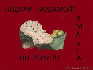 101 роза лучший подарок любимой - Изображение #1, Объявление #185082