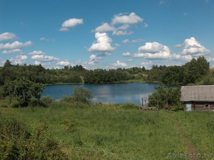 Сдам дом на берегу озера на лето Беларусь - Изображение #2, Объявление #202414