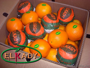 Апельсин из Египта (Oranges from Egypt) - Изображение #1, Объявление #218813
