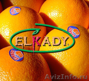 Апельсин из Египта (Oranges from Egypt) - Изображение #2, Объявление #218813