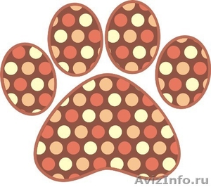 Салон Бонни - Стрижка собак и кошек - Изображение #1, Объявление #260686