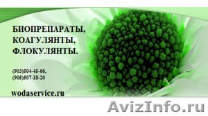 Биопрепараты. Коагулянты. Флокулянты. Novozymes (Новозаймс) BICHEM DC 2000 GL ,  - Изображение #1, Объявление #334714