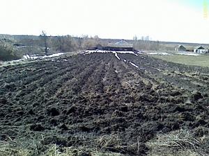 село Бунино, Курская обл., Солнцевский р-н, - Изображение #3, Объявление #365967