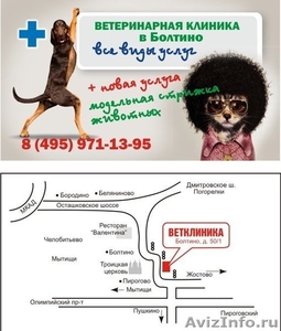 Ветеринарная клиника в БОЛТИНО. - Изображение #1, Объявление #349464