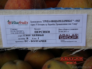  "Abalar-Group" Ltd. импорт свежих ягод, фруктов - Изображение #1, Объявление #374181