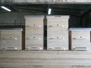Ульи для пчел, улей, изготовление ульев, улья. - Изображение #2, Объявление #437257