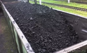 Уголь каменный, фасованный, брикетированный - Изображение #5, Объявление #462431