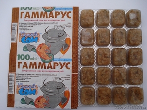 замороженный корм для аквариумных рыб от производителя  (Украина) - Изображение #5, Объявление #497503