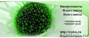 Биопрепараты Novozymes Biologicals - Изображение #1, Объявление #506317
