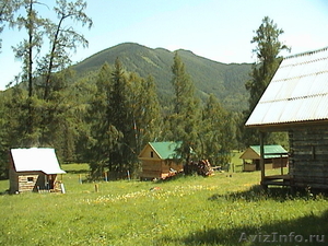 дом у Белухи,  п.Кучерла,  Усть-Кокса,  южный высокогорный Алтай
