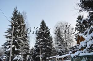 Отличная зимняя дача рядом с лесом, без посредников и переплат - Изображение #3, Объявление #522495