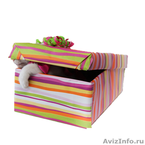 Упаковка подарков и сувениров - Изображение #1, Объявление #548475