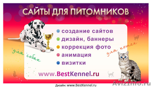Создание сайтов для питомников кошек и собак. BestKennel - Изображение #1, Объявление #535339