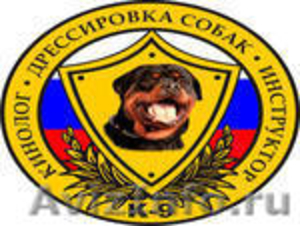 Дрессировка собак в Москве - Изображение #1, Объявление #537191