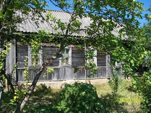 Дом деревянный с надворными постройками, участок 26,15 сотки в экологически чист - Изображение #1, Объявление #584140