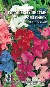 Семена цветов от агрофирмы "Плюс" - Изображение #1, Объявление #590631