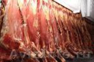 Мясо говядина, свинина продаем оптом. Производство Россия. - Изображение #1, Объявление #600772