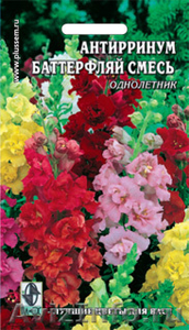 Семена цветов от агрофирмы "Плюс" - Изображение #2, Объявление #590631