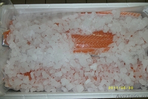 продам лосось охлажденный , филе, стейки лосося - Изображение #3, Объявление #576715