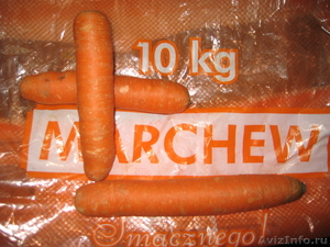 Морковь (производство Польша) - Изображение #2, Объявление #587337