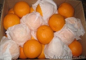 Апельсины «Navelina»  - Изображение #1, Объявление #603807