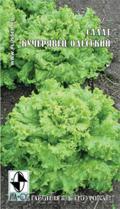 Семена овощей от агрофирмы "Плюс" - Изображение #2, Объявление #590614