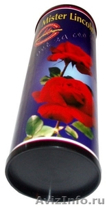 Саженцы роз с закрытой корневой системой - Изображение #7, Объявление #590644