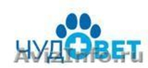 Ветеринарная клиника "ЧУДОВЕТ" ВАО - Изображение #1, Объявление #615099